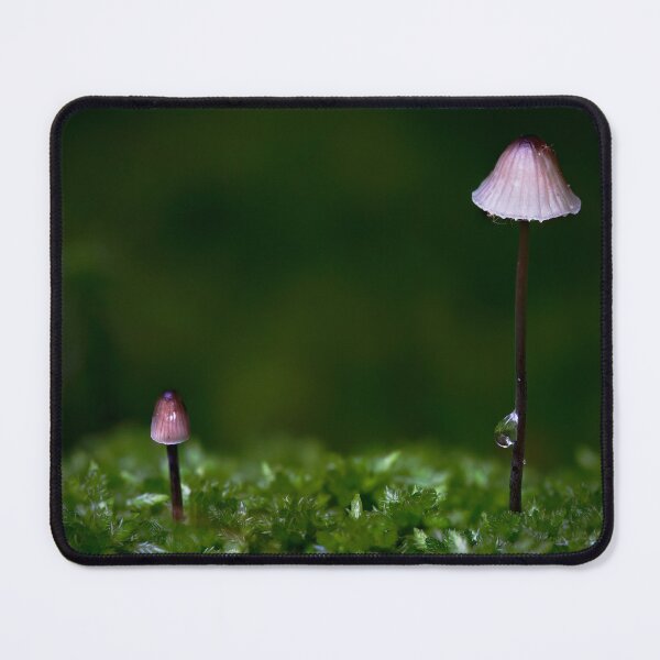 Item preview, Tiny Toadstools designed and sold by RedGrouse.