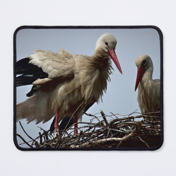 Item preview, Frozen reality - Beautiful nature 378 designed and sold by deep-sea-birds.