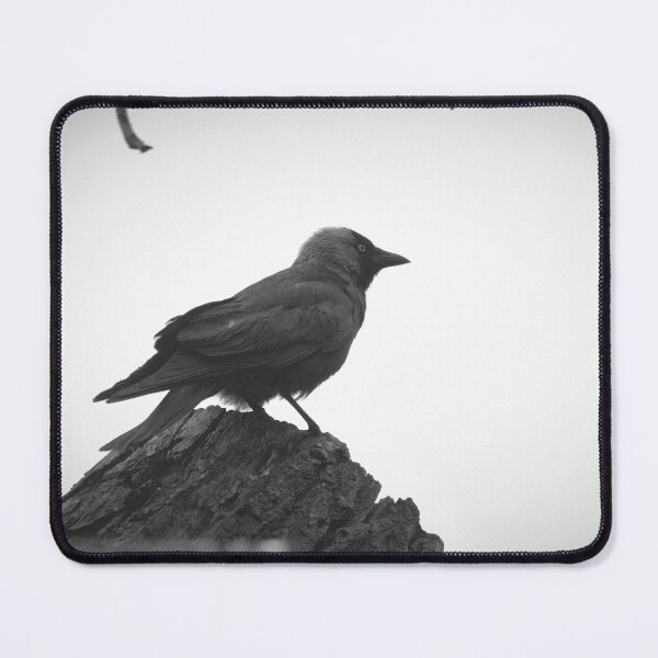Item preview, Frozen reality - Beautiful nature 386 designed and sold by deep-sea-birds.