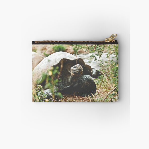 Artikelvorschau, Galapagos-Schildkröte entworfen und verkauft von m24instudio.