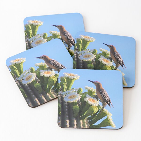 Item preview, Gila Woodpecker And Saguaro Blooms designed and sold by simonjayphotos.