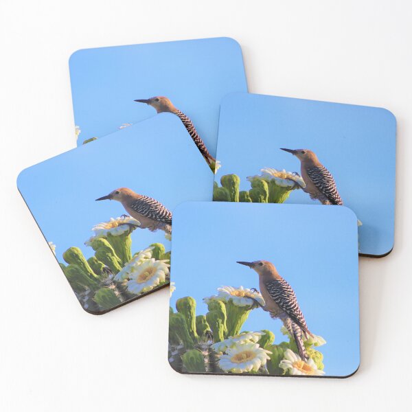 Item preview, Gila Woodpecker And Saguaro Flowers designed and sold by simonjayphotos.