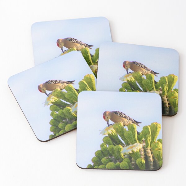 Item preview, Gila Woodpecker Feeding On A Saguaro Blossom designed and sold by simonjayphotos.