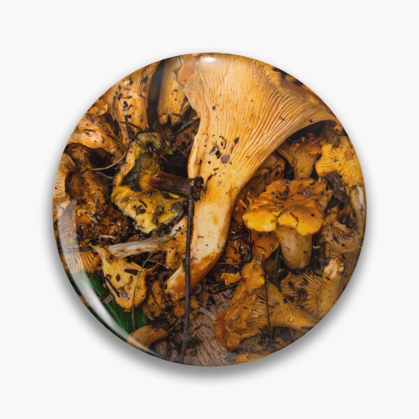 Item preview, Background - yellow mushrooms designed and sold by YarekPhoto.