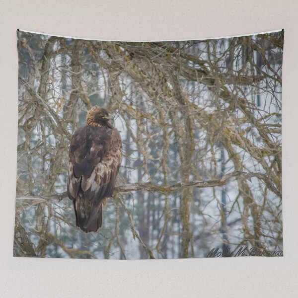 Item preview, Winter Eagle of Rest #3 designed and sold by MollyBukovac.