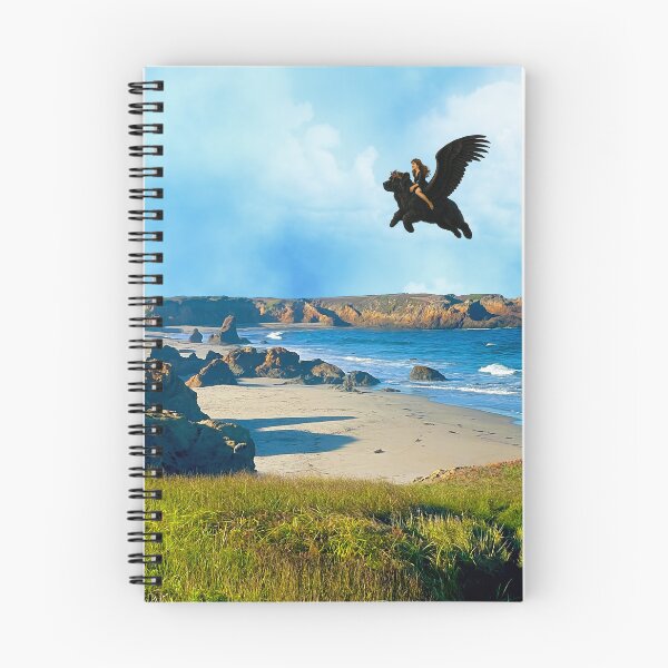Item preview, Flying High designed and sold by Christine Mullis.