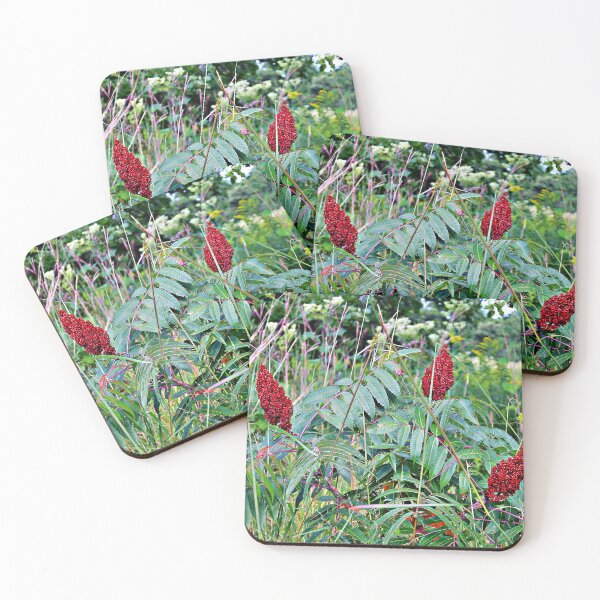Item preview, Sumac in Late Summer designed and sold by Martha Sherman.
