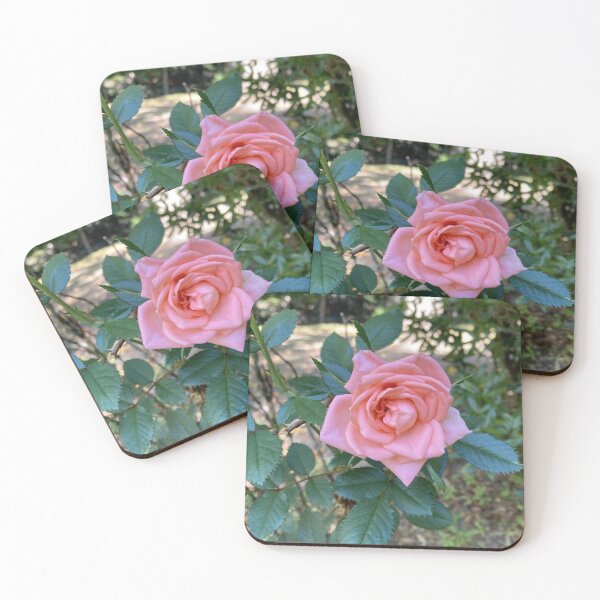 Item preview, Grocery Store Rose designed and sold by Smitty Petalz.
