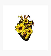 Summer Sunflower Heart Photographic Print