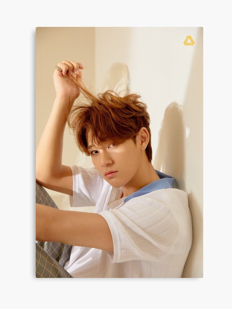 Seventeen Mingyu You Make My Day Meet Version Canvas Print