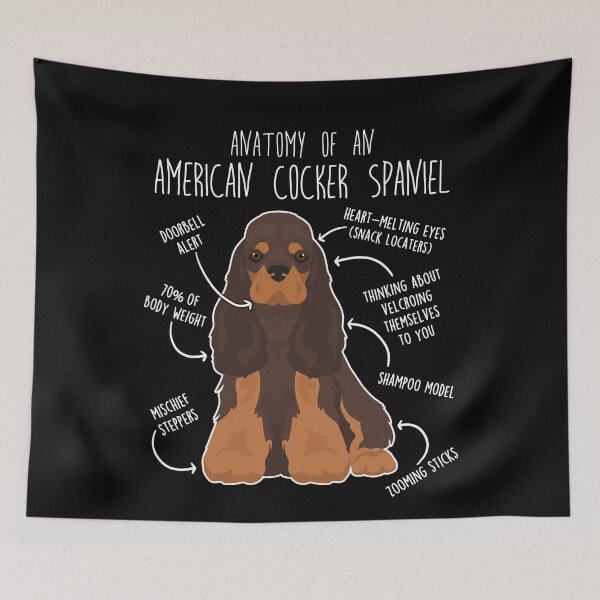 Item preview, Brown and Tan American Cocker Spaniel Dog Anatomy designed and sold by Clara Hollins.