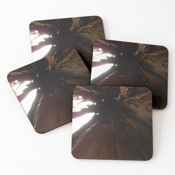 Item preview, Inside the Heart of a Redwood Tree – Nature’s Ancient Wonder designed and sold by starcraft542.
