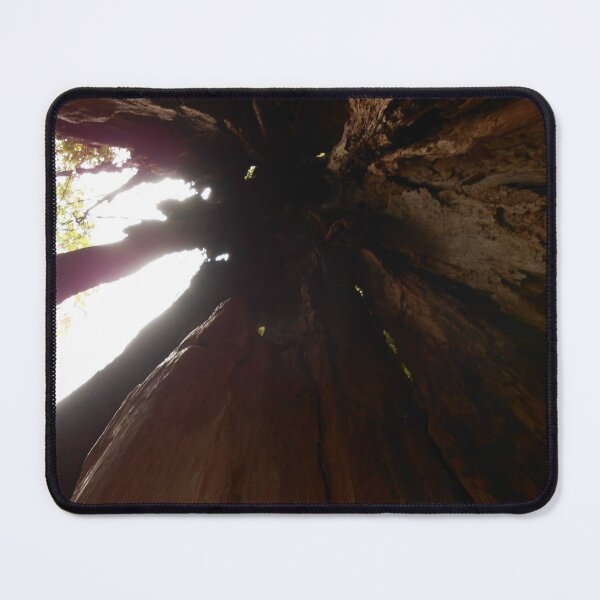 Item preview, Inside the Heart of a Redwood Tree – Nature’s Ancient Wonder designed and sold by starcraft542.