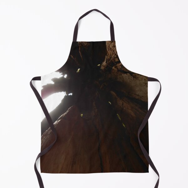 Item preview, Inside the Heart of a Redwood Tree – Nature’s Ancient Wonder designed and sold by starcraft542.