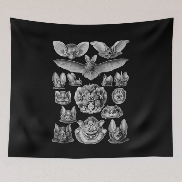 Item preview, Bat Haeckel Illustration  	 designed and sold by jplohyifi92.