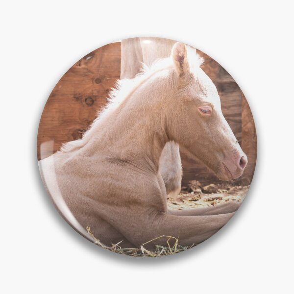 Item preview, Brand New Cremello designed and sold by cavegafarm.