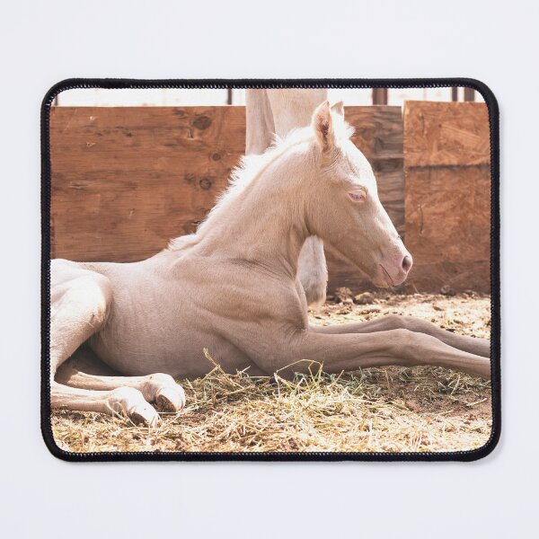 Item preview, Brand New Cremello designed and sold by cavegafarm.