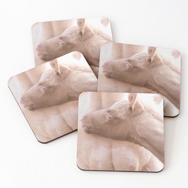 Item preview, Foal Finding Food designed and sold by cavegafarm.