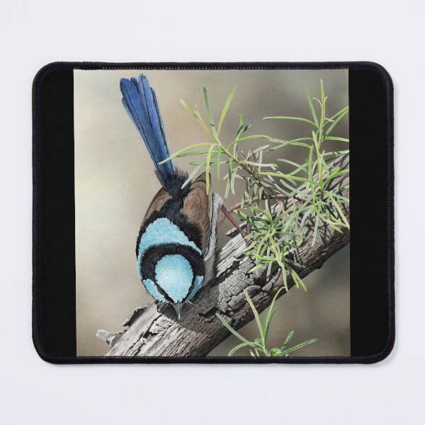 Item preview, SPRING HAS SPRUNG - Superb Fairy-wren designed and sold by Frances McMahon Watercolour Bird Artist.