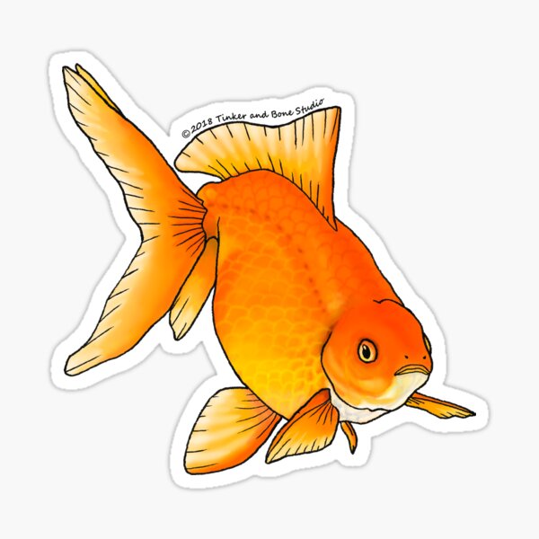 Vista previa del artículo con la obra «Goldtail Fantail Goldfish», diseñado y vendido por TinkerandBone.