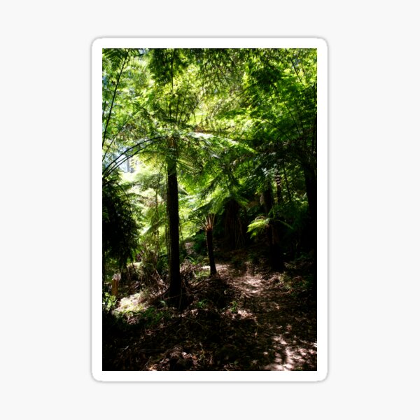 Item preview, Tree Fern Canopy designed and sold by GP1746.