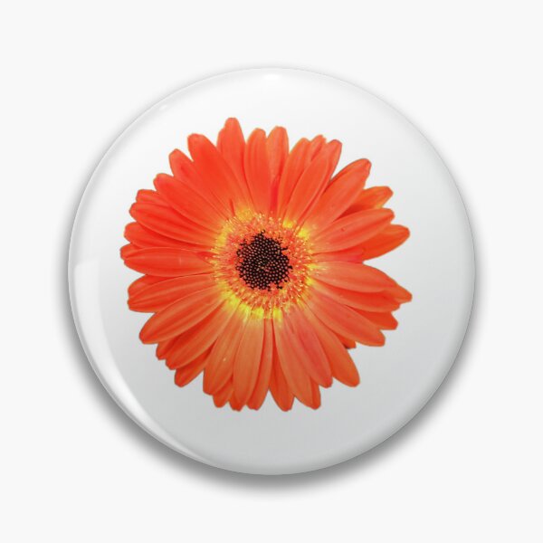 Item preview, Orange daisy  designed and sold by Joysfuntime.