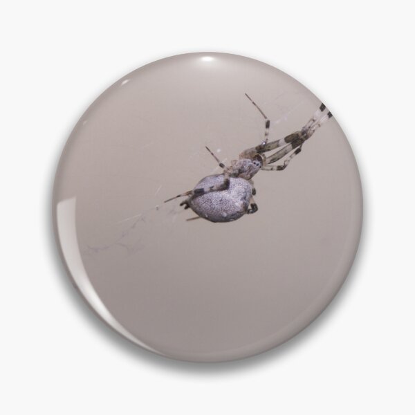 Item preview, Hackled Orb-weaver spider designed and sold by ROSE ANN BANILAR.