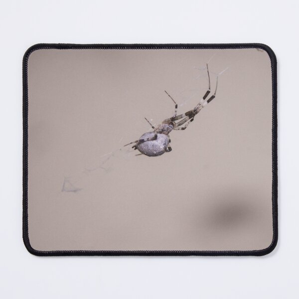 Item preview, Hackled Orb-weaver spider designed and sold by ROSE ANN BANILAR.