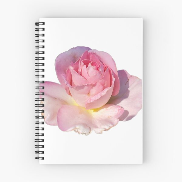 Item preview, Pink rose  designed and sold by Joysfuntime.