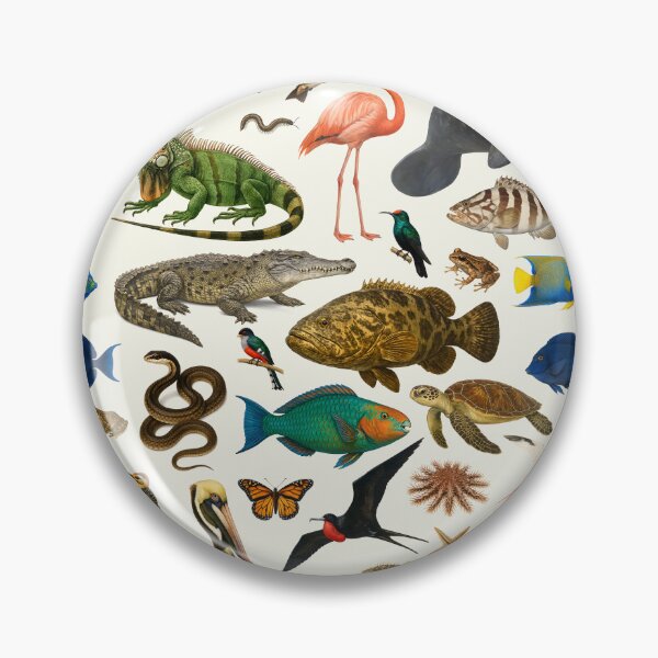 Item preview, Animals of the Caribbean Retro Illustration Wildlife Chart designed and sold by kakarikihill.