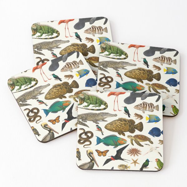 Item preview, Animals of the Caribbean Retro Illustration Wildlife Chart designed and sold by kakarikihill.