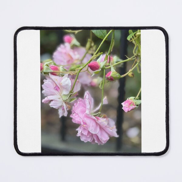 Item preview, summer blooms designed and sold by ljdewet.