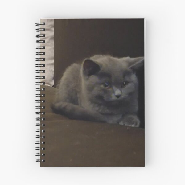 Item preview, Cute kitten designed and sold by CtrlShiftWin.