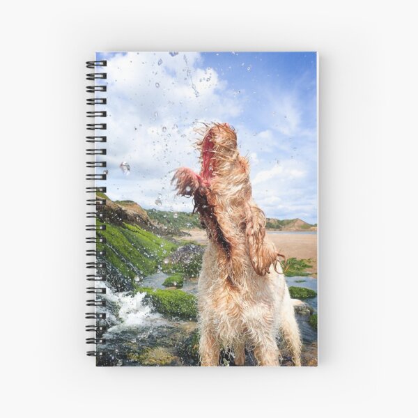 Catching splashes at the beach Spinone Spiral Notebook