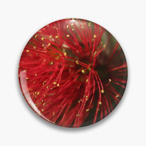 Item preview, Pohutukawa Bloomed  designed and sold by FmmNZ.