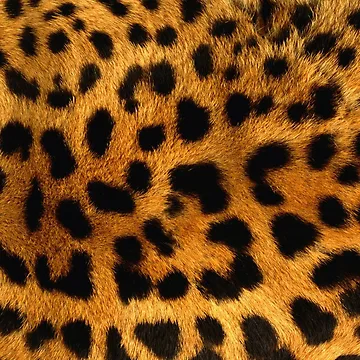 Artwork thumbnail, Leopard Print Pattern by Clickcreations