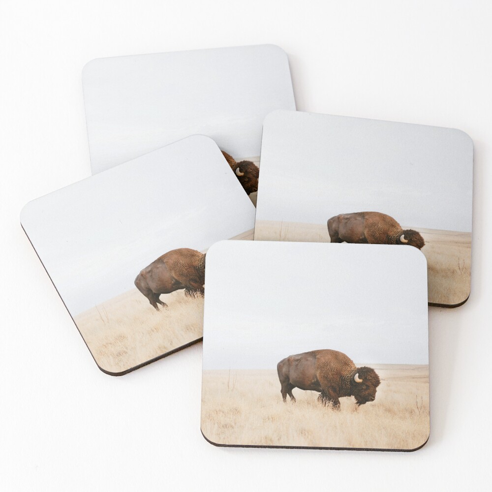 Item preview, Coasters (Set of 4) designed and sold by galdesign.