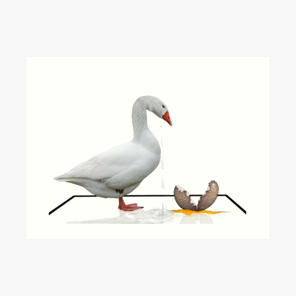 Goose Tears Art Print