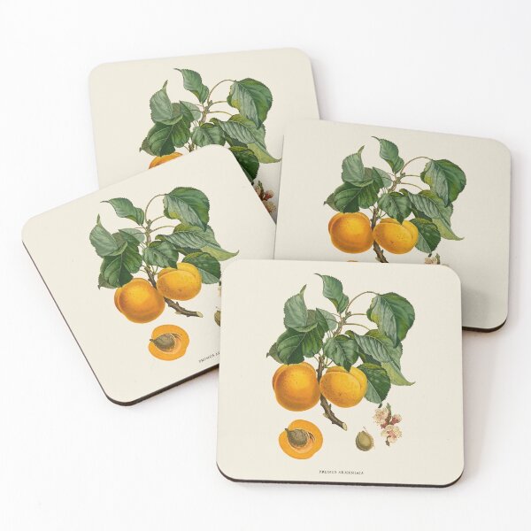 Item preview, Apricot Antique Botanical Illustration designed and sold by Antiquated Art.