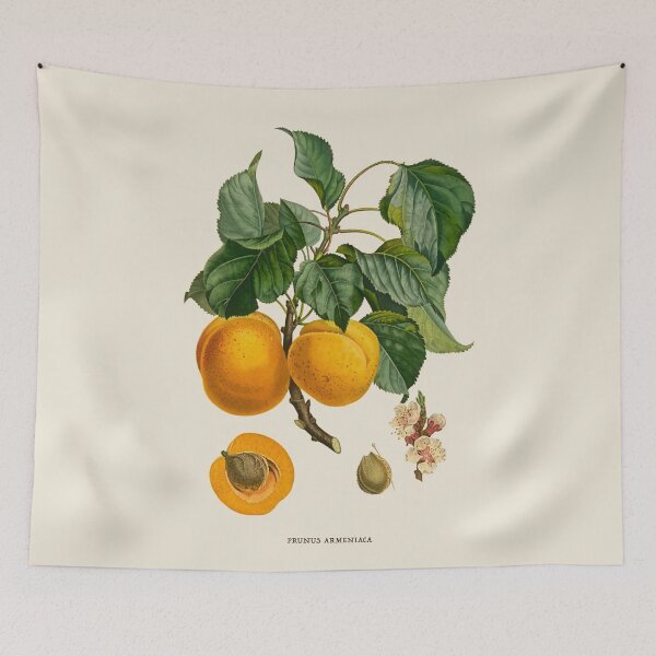 Item preview, Apricot Antique Botanical Illustration designed and sold by Antiquated Art.