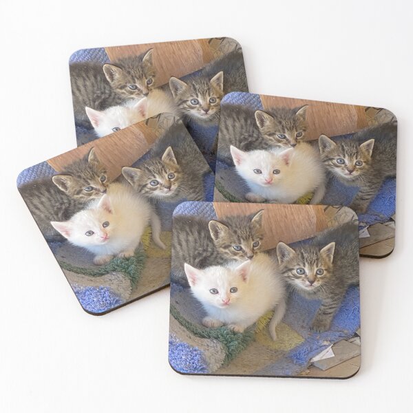 Item preview, Cate kittens send waves of happinnes designed and sold by Ela33-Bosnian photographer.