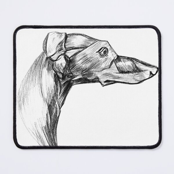 Item preview, Greyhound Musculature, after Seton designed and sold by Plantedbones.