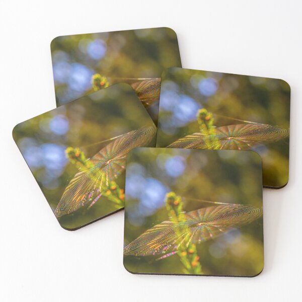 Item preview, Vibrant Spider Web in Sunlight designed and sold by Veikko  Suikkanen.