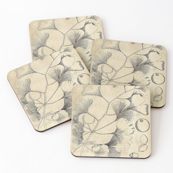 Item preview, Ginkgo Biloba by Engelbert Kaempfer, 1712 designed and sold by mariapopova.
