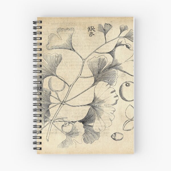 Item preview, Ginkgo Biloba by Engelbert Kaempfer, 1712 designed and sold by mariapopova.