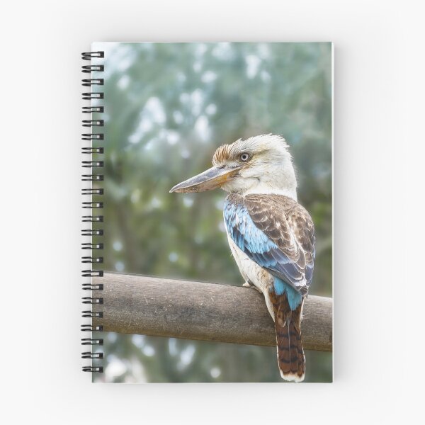 Artikelvorschau, Kookaburra entworfen und verkauft von Imbeccable Images.