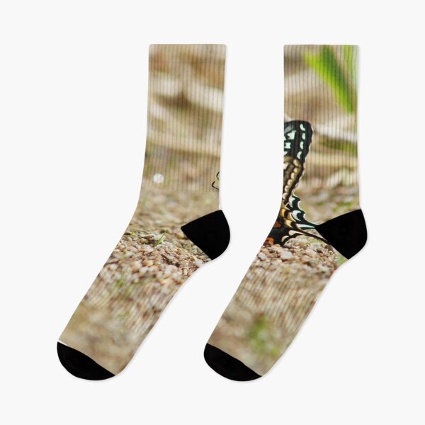 Item preview, Elegant Asian Swallowtail Butterfly - Detailed Macro Wildlife Photography designed and sold by Luminari Creations.