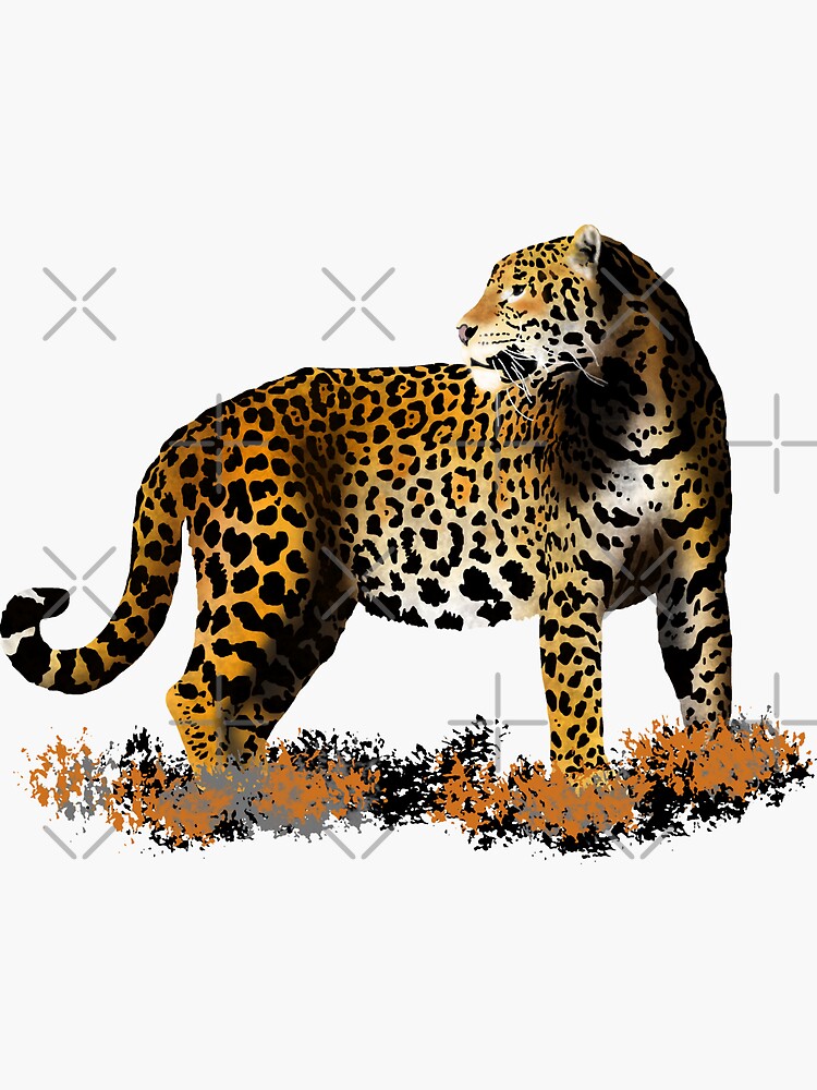 "jaguar" Sticker by sibosssr Redbubble