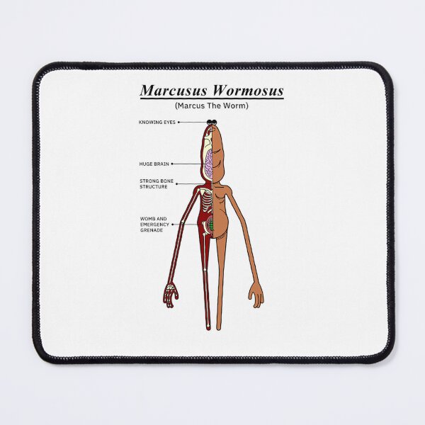 Item preview, Marcus The Worm Anatomy - TikTok Meme designed and sold by LottieHill121.