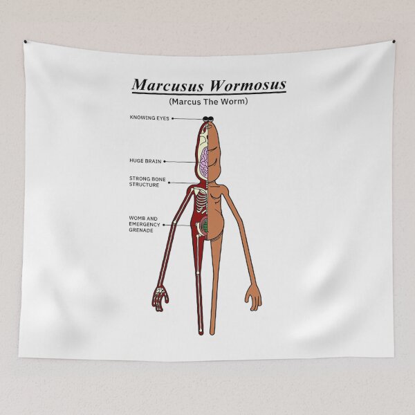 Item preview, Marcus The Worm Anatomy - TikTok Meme designed and sold by LottieHill121.